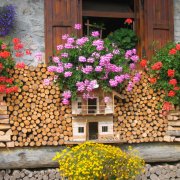 festa nazionale borghi autentici 2008 sauris dettaglio del borgo legno fiori